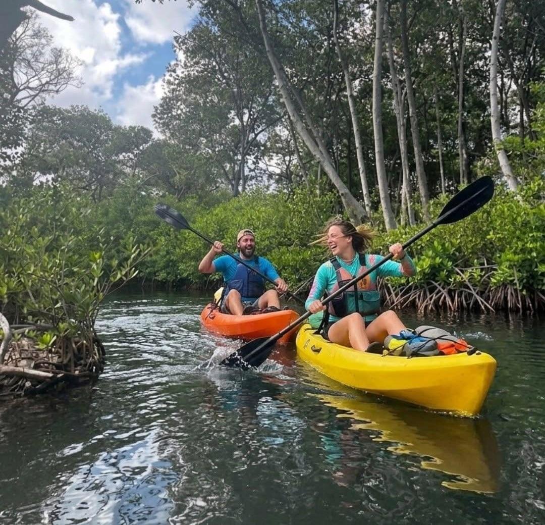 Curaçao Rif Mangrove Park